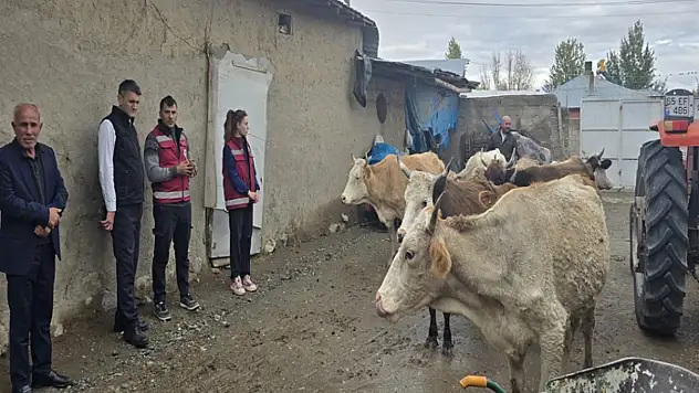 Buzağı kayıplarını azaltmak için eğitim seferberliği