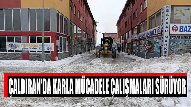 ÇALDIRAN'DA KARLA MÜCADELE ÇALIŞMALARI SÜRÜYOR