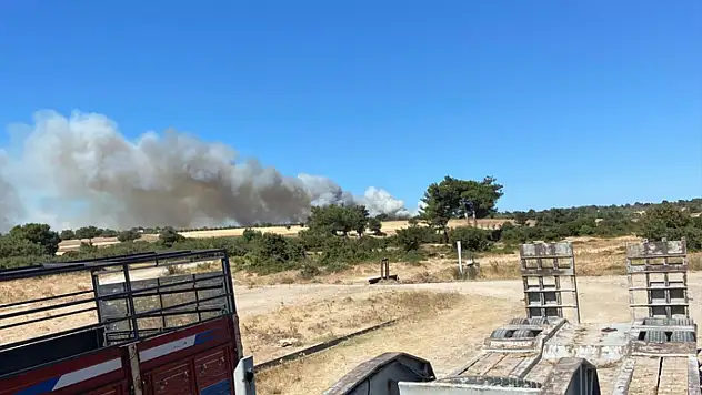 Çanakkale'de orman yangını