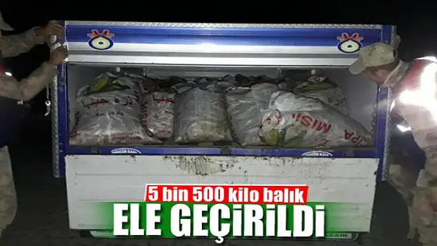 5 bin 500 kilo balık ele geçirildi 
