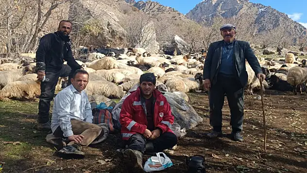 Çatak'ta hayvan sağlığına yönelik aşılama ve küpeleme çalışmaları