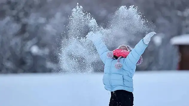 Çatak ve Bahçesaray'da eğitime 1 gün ara verildi