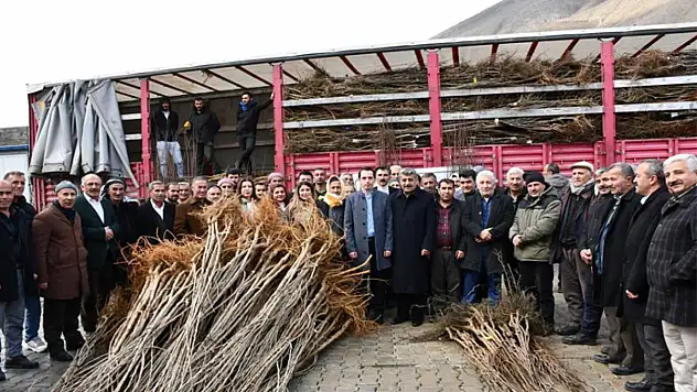 Çataklı çiftçilere fidan desteği