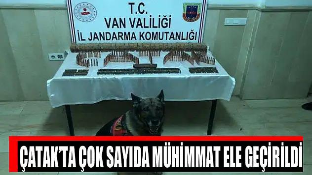 Çatak'ta çok sayıda mühimmat ele geçirildi