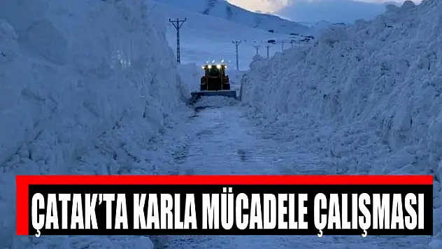 Çatak'ta karla mücadele çalışması