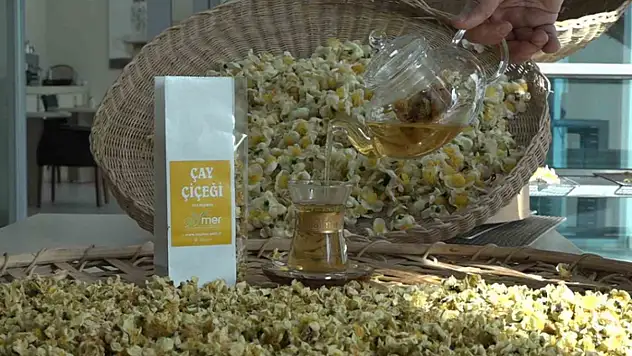 Çayın yeni ürünü 'Çay çiçeği çayı' 6 bin TL'den satılıyor
