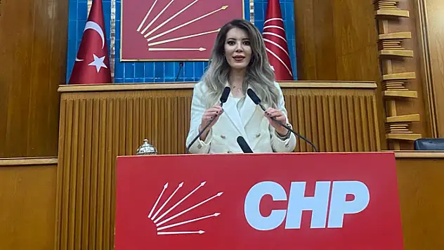 CHP Van İl Kadın Kolları Başkanı Aslan: Medeni Kanun eşitliğin teminatıdır