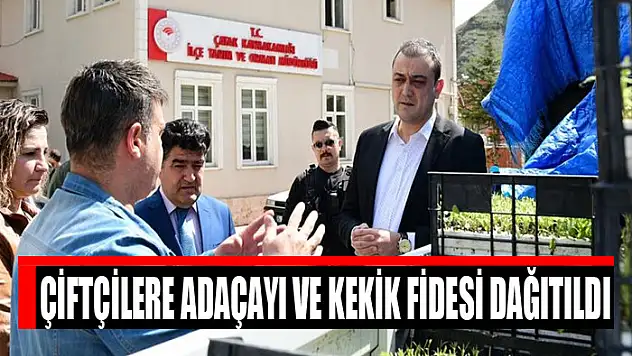 Çiftçilere adaçayı ve kekik fidesi dağıtıldı