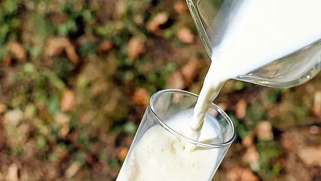 Çiğ süt üretimi arttı