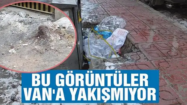 BU GÖRÜNTÜLER VAN'A YAKIŞMIYOR