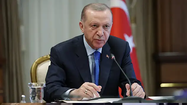 Cumhurbaşkanı: 'Yanlış yapıyorlar' diyerek uyardı