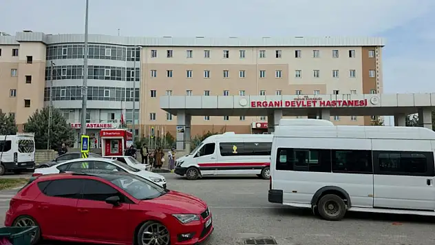 Damat katliamı: Kayınbabası ve kayınbiraderini öldürdü