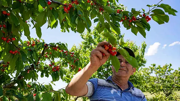 Depremden etkilendi, köyüne geri döndü