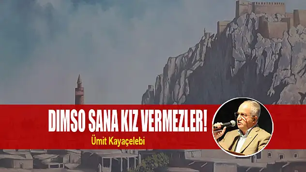 DIMSO SANA KIZ VERMEZLER!