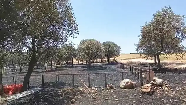 Diyarbakır ve Mardin'deki yangının çıkış sebebine ilişkin her ihtimal araştırılıyor