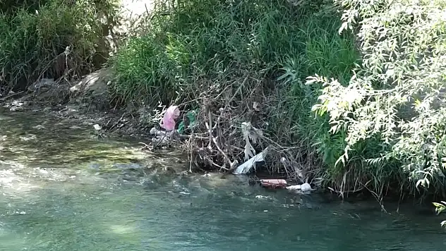 Dönemeç Şelalesi'nde temizlik seferberliği