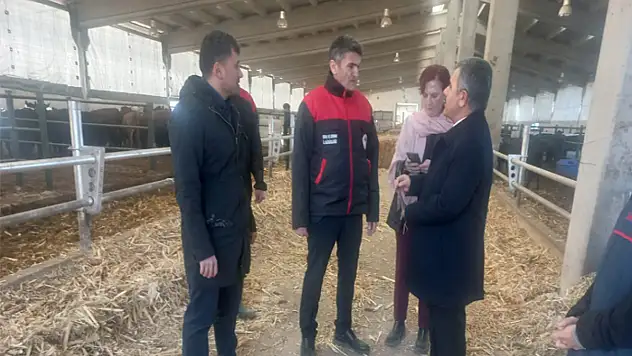 Düve üretim merkezi faaliyete geçti: İlk etapta 1.985 düve getirildi