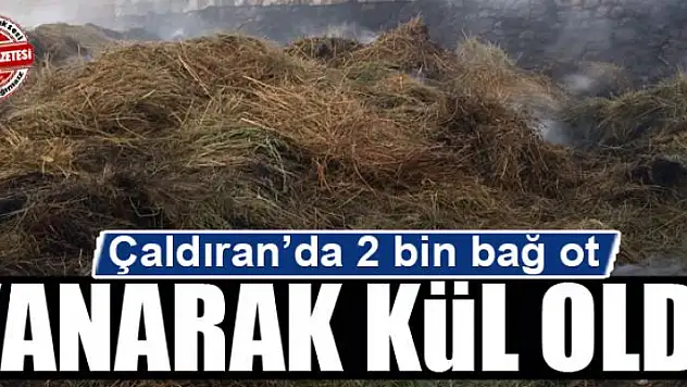 Çaldıran'da 2 bin bağ ot yandı
