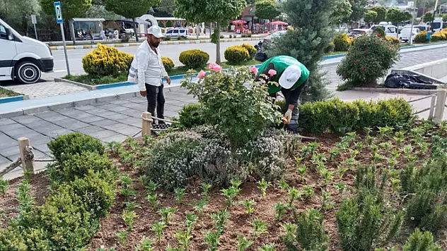 Edremit Belediyesi'nden yeşil alan çalışması