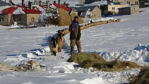 Eksi 15 derecede Çataklı besicilerin geçim mücadelesi