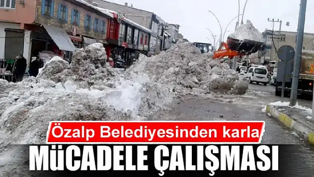Özalp Belediyesinden karla mücadele çalışması