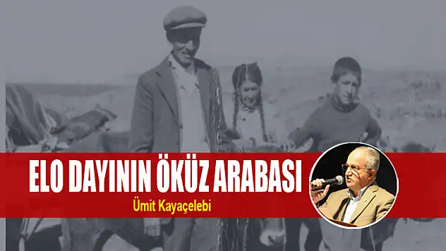ELO DAYININ ÖKÜZ ARABASI