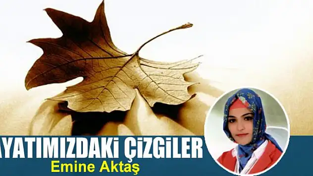 Hayatımızdaki  çizgiler