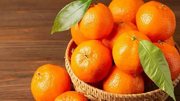 En ucuz meyve: Mandalina bahçede 8 TL'ye kadar düştü