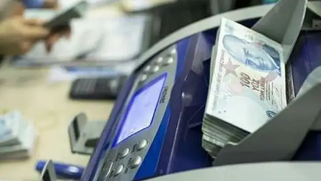 Engelli ve eski hükümlü hibe desteği başvuruları devam ediyor