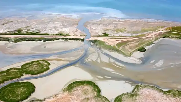 Engil-Dilkaya Deltasına sahip çıkın