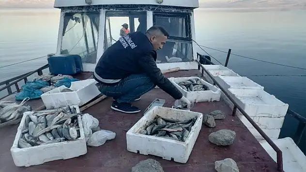 Erçek Gölü'nde inci kefali bereketi