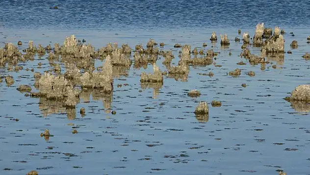 Erçek Gölü'nde su çekilince mikrobiyalitler ortaya çıktı