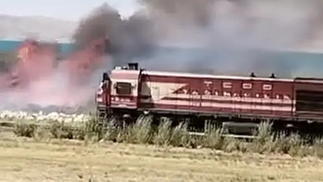 Erçek Gölü sazlıklarında yangın