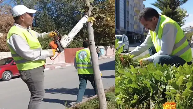 Erciş Belediyesi'nden ağaç budama çalışmaları