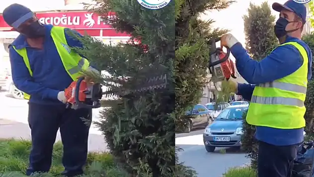 Erciş Belediyesi'nden ağaç budama çalışmaları