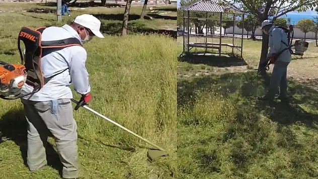 Erciş Belediyesi'nden ot biçme çalışması
