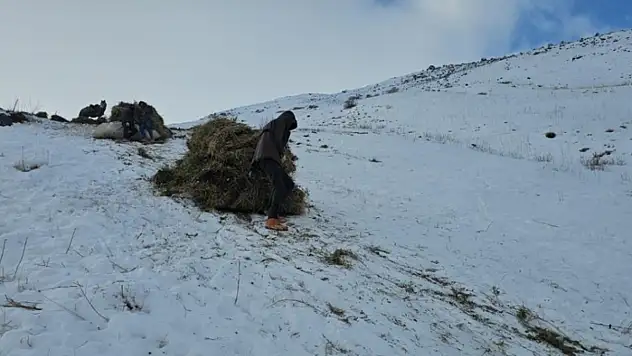 Erciş'te asırlık kış mesaisi