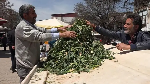 Erciş'te çiriş otu tezgahlardaki yerini aldı