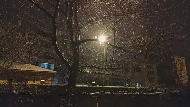 Erciş'te kar yağışı