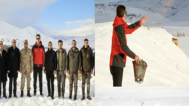 Erciş'te yaban hayvanları unutulmadı