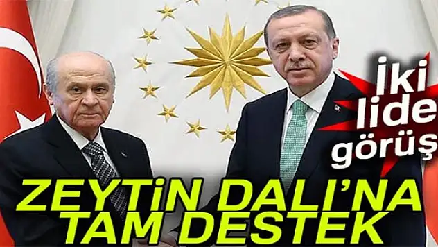 Cumhurbaşkanı Erdoğan, MHP lideri Bahçeli ile telefonda görüştü