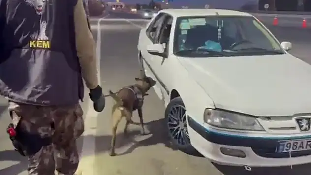 Erzurum'da araçta gizlenmiş uyuşturucuyu 'Magnum' buldu