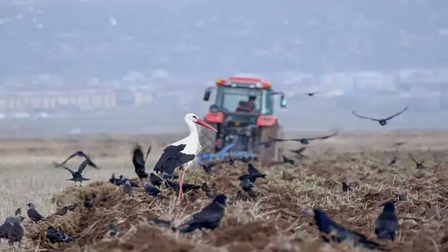 Erzurum'da traktör ve motosiklet sayısında artış var