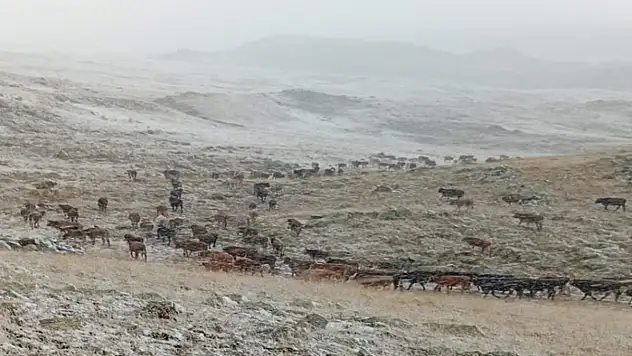 Erzurum'da yüksek kesimlere kar yağdı