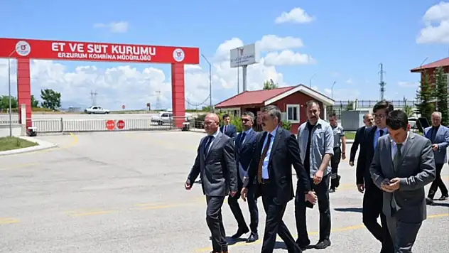 Erzurum ETB yıllık 2 bin ton kırmızı et üretiyor