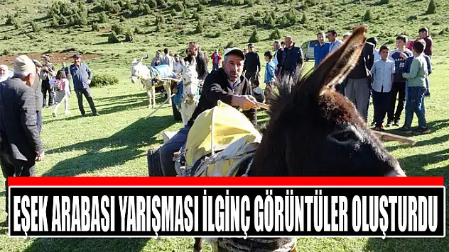 Eşek Arabası yarışması ilginç görüntüler oluşturdu