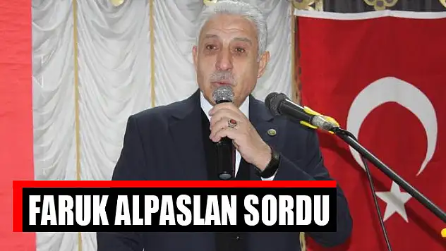 Faruk Alpaslan sordu