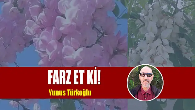 Farz et ki!