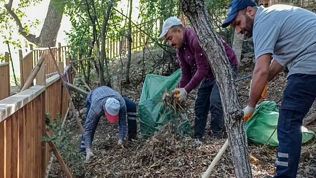 Fekiye Teyran Türbesi'nde kapsamlı temizlik yapıldı