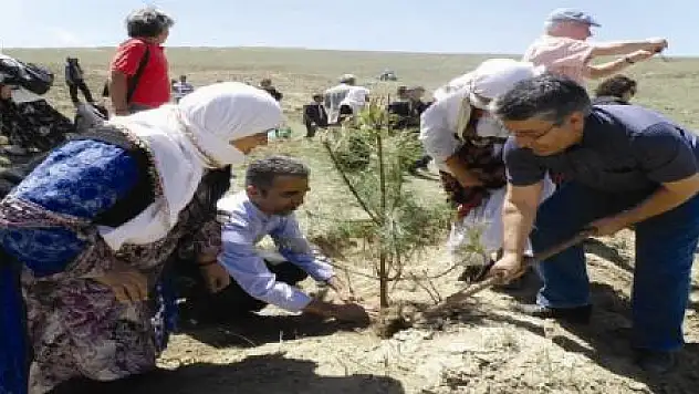 BELEDİYEDEN FİDAN DİKİMİ